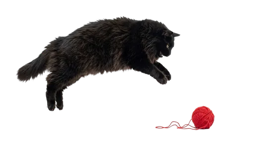 Gattino nero che gioca con un gomitolo di lana rossa
