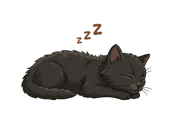 Gattino nero che dorme